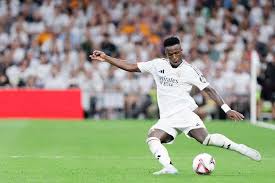 本土球员的 本土球员的